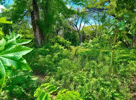 Oakes Field 14,833 Sf Lot 15 New Providence Paradise Island BS