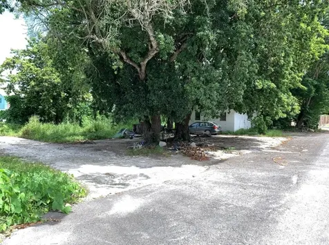 Oakes Field 14,833 Sf Lot 15 New Providence Paradise Island BS