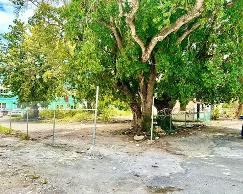 Oakes Field 14, 833 Sf Lot 15 New Providence Paradise Island BS