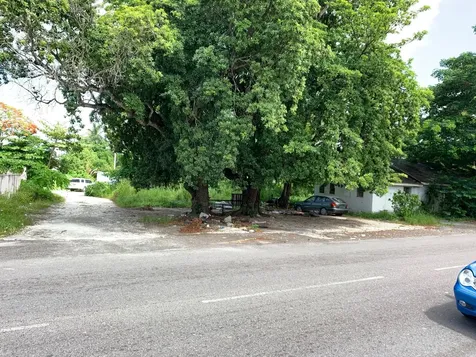 Oakes Field 14, 833 Sf Lot 15 New Providence Paradise Island BS