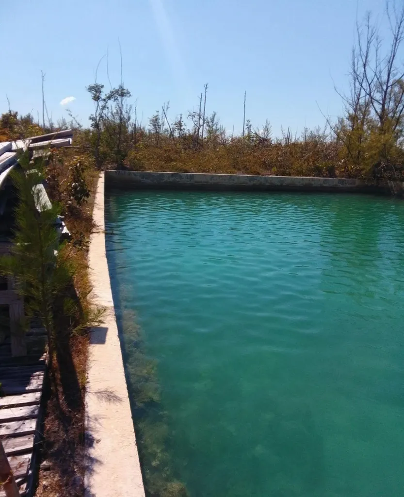 Bristol Bay Subdivision Grand Bahama Freeport BS