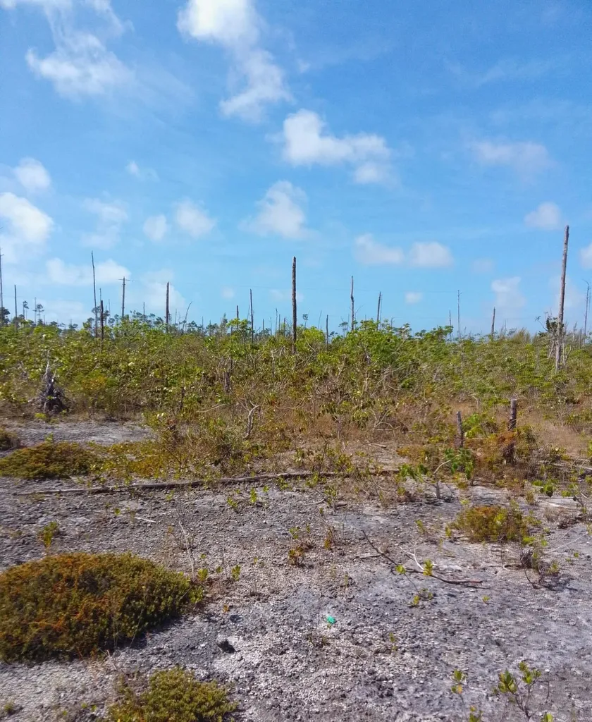 Bristol Bay Subdivision Grand Bahama Freeport BS