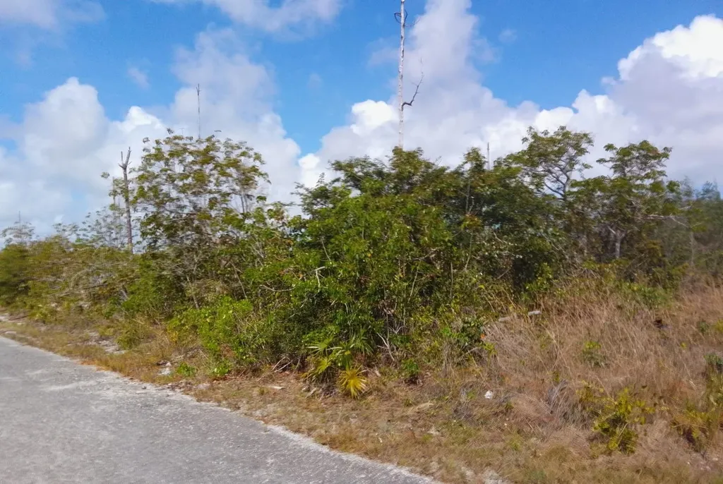 Bristol Bay Subdivision Grand Bahama Freeport BS