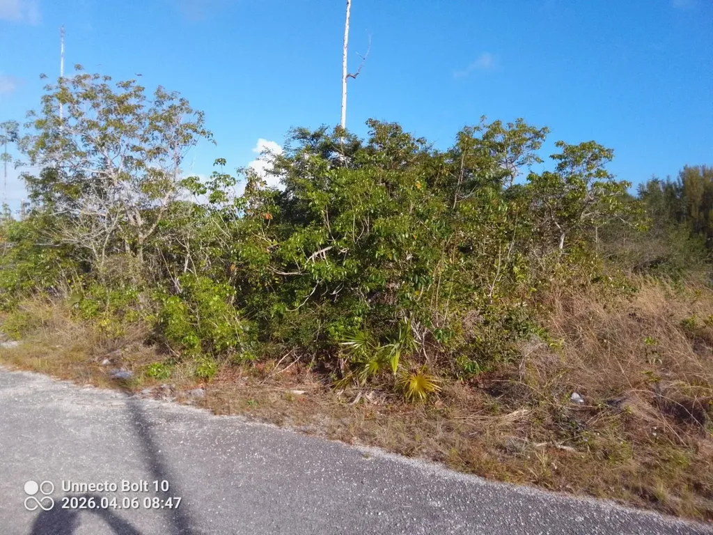 Bristol Bay Subdivision Grand Bahama Freeport BS
