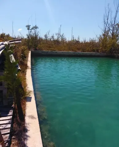 Bristol Bay Subdivision Grand Bahama Freeport BS