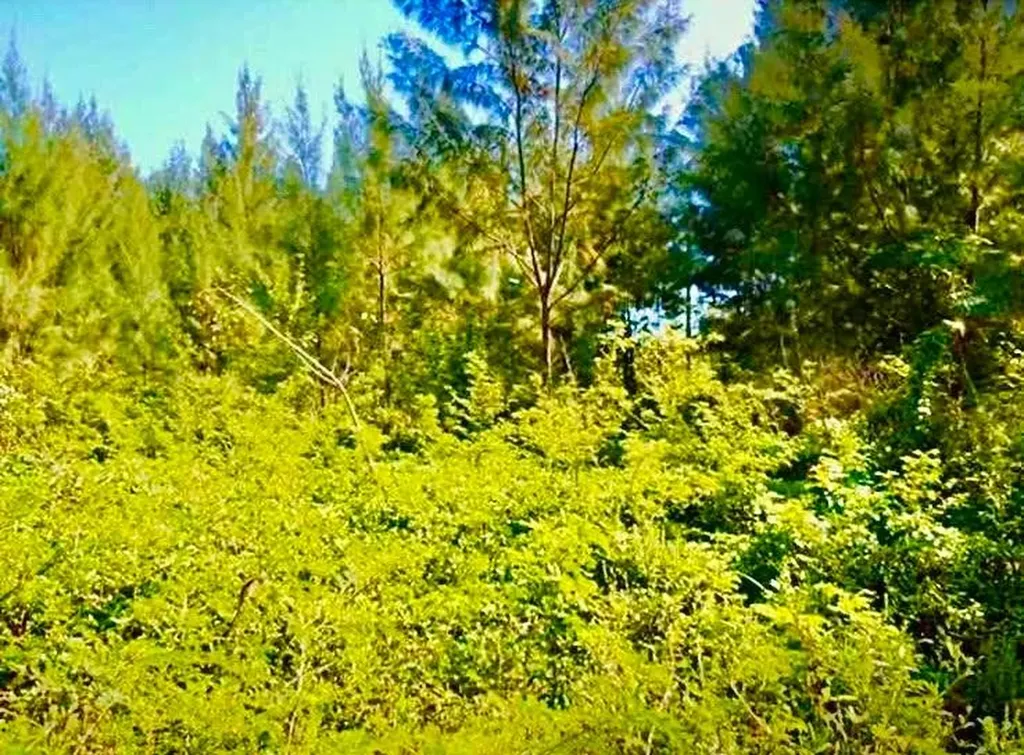 Marshall Road Lot New Providence Paradise Island BS