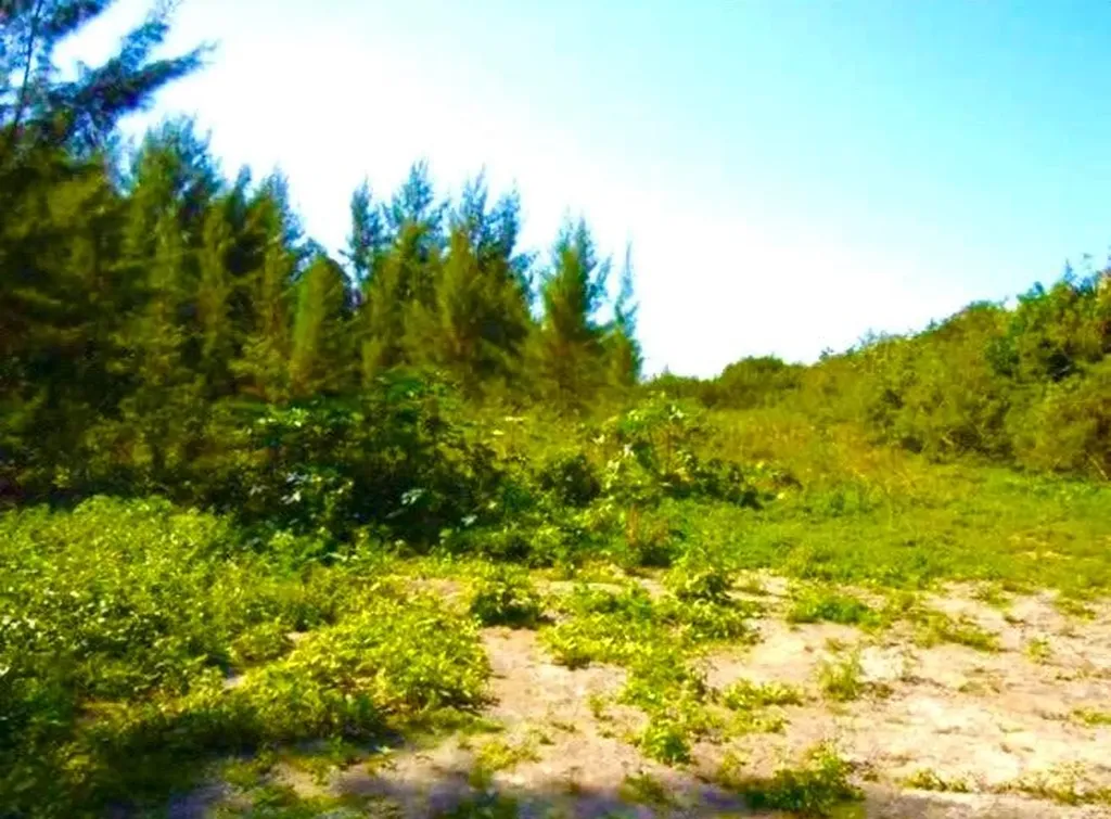 Marshall Road Lot New Providence Paradise Island BS