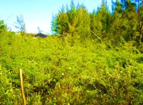 Marshall Road Lot New Providence Paradise Island BS