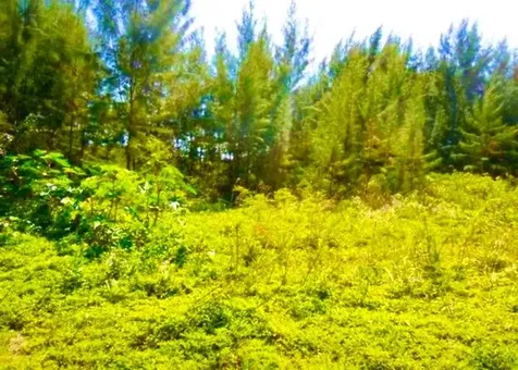 Marshall Road Lot New Providence Paradise Island BS