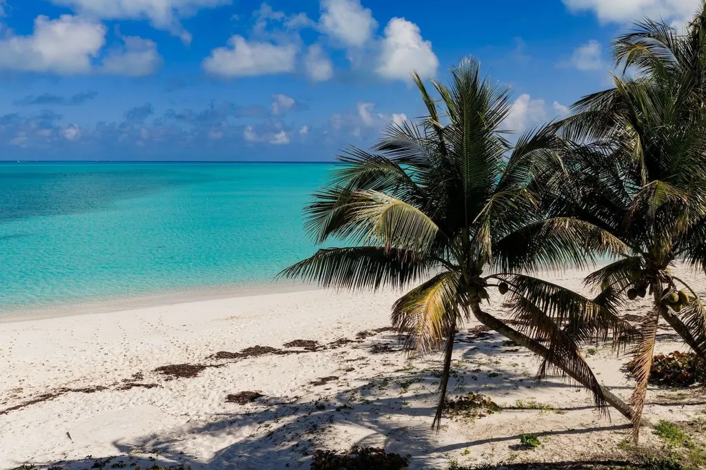 Royal Poinciana 2611 Abaco BS
