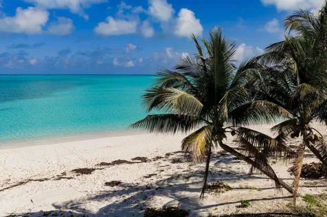 Royal Poinciana 2611 Abaco BS