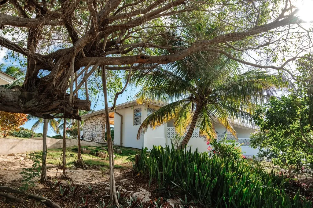 Artist Colony Eleuthera BS