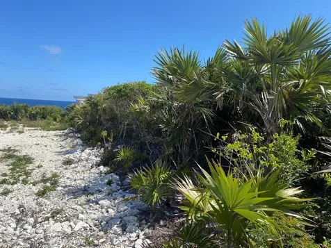 Rainbow Bay Lot 34 Eleuthera BS