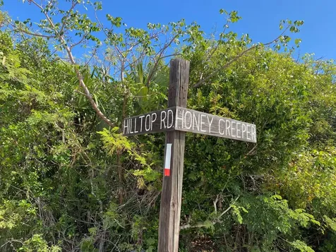 Rainbow Bay Lot 34 Eleuthera BS