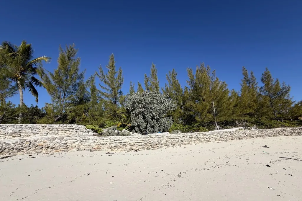 Windward Beachfront Lot Abaco BS