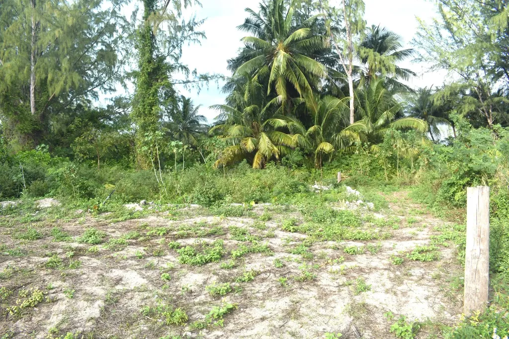 Current Eleuthera BS
