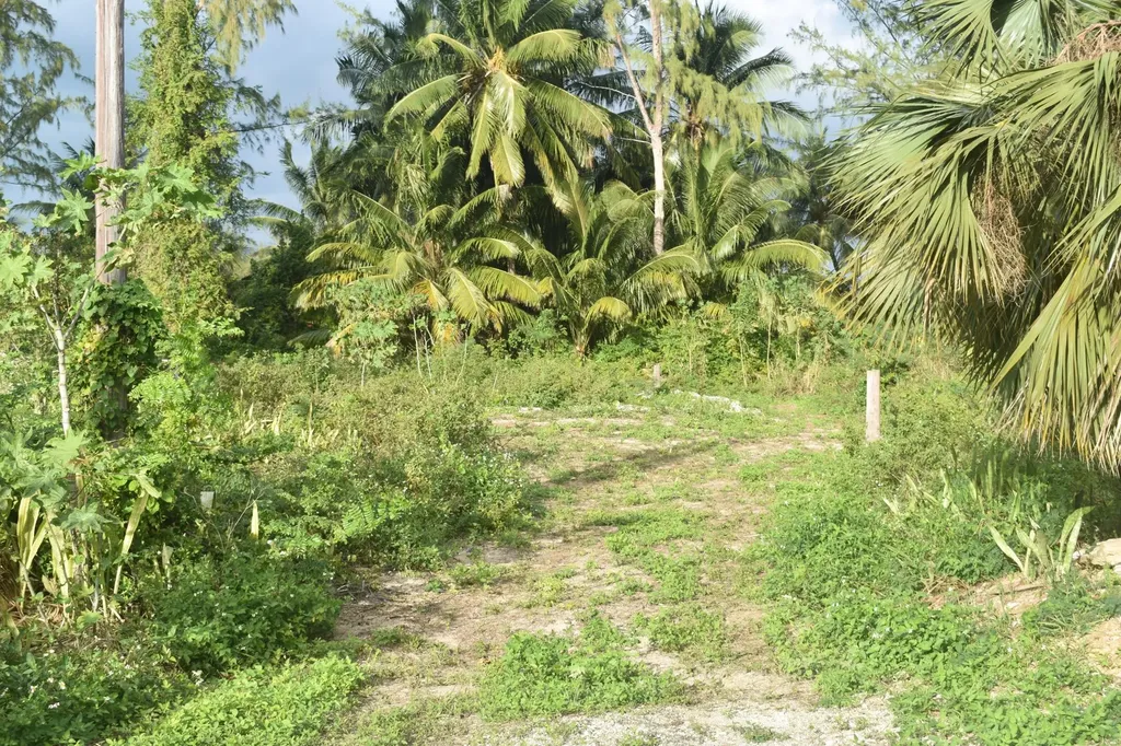 Current Eleuthera BS