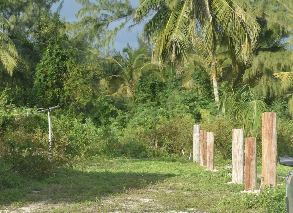 Current Eleuthera BS