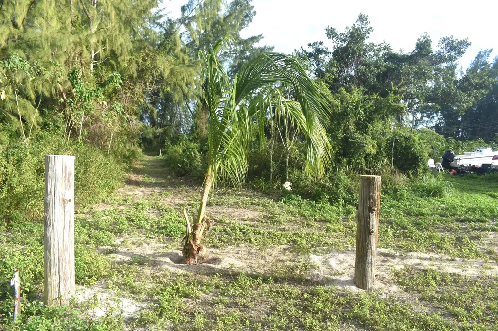 Current Eleuthera BS