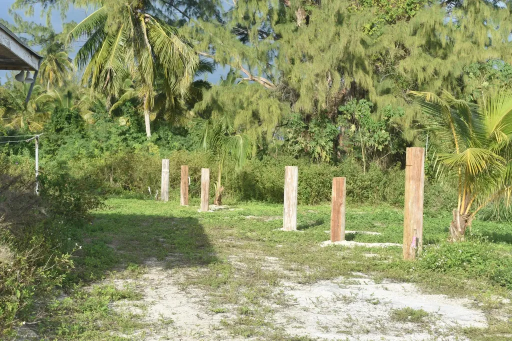 Current Eleuthera BS