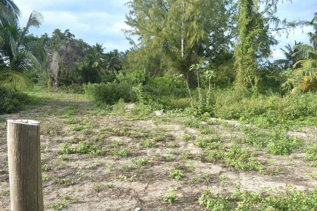 Current Eleuthera BS