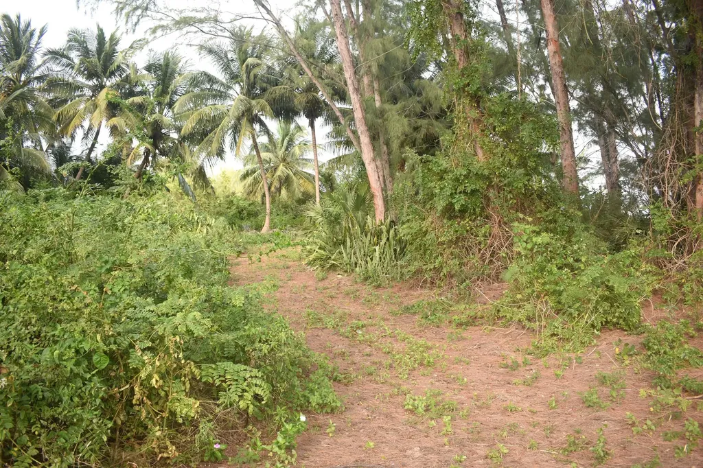 Current Eleuthera BS