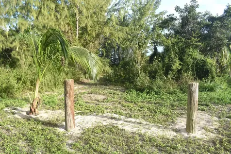 Current Eleuthera BS