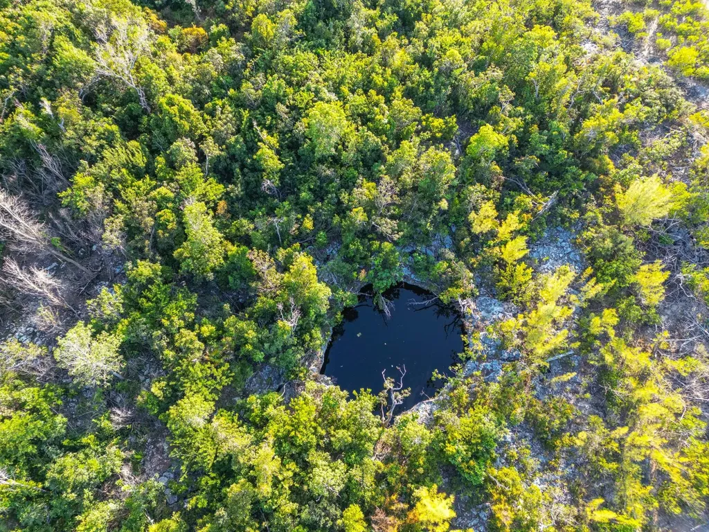 Great Cistern Acreage Abaco BS
