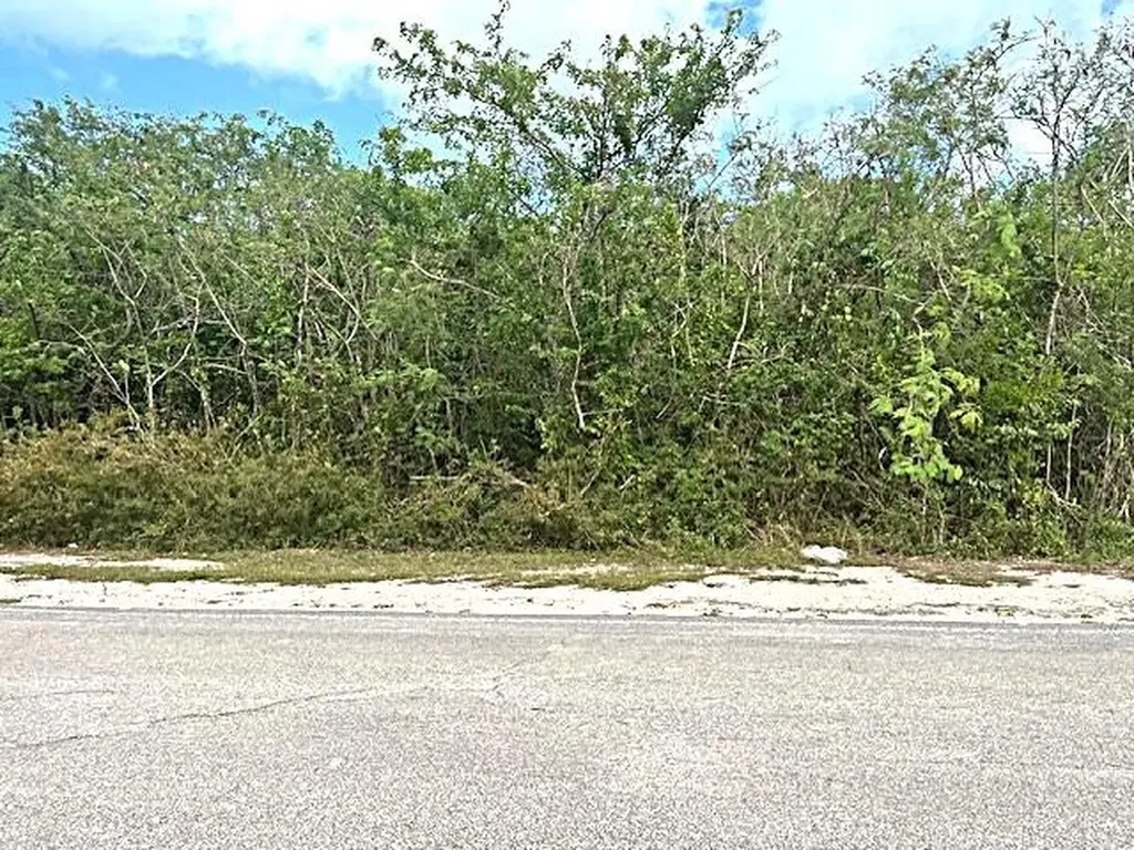 Clarence Town Lot With Vi Long Island BS