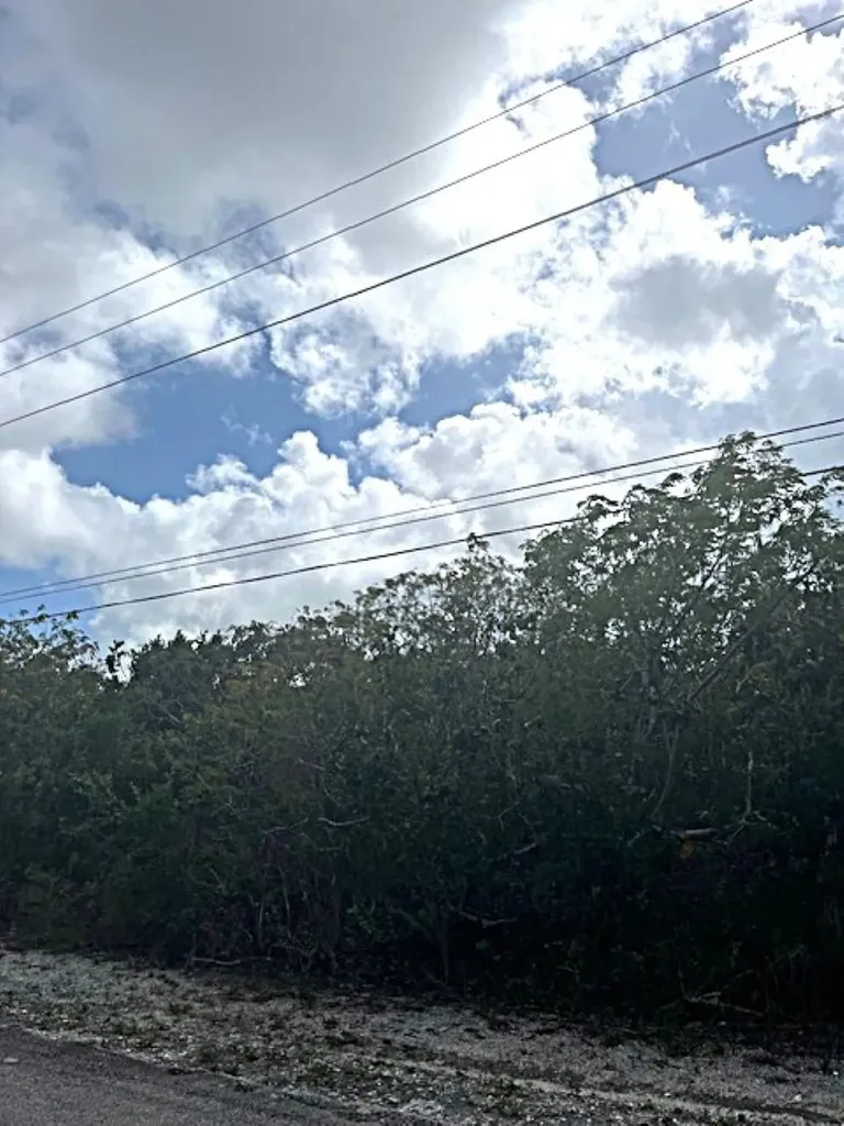 Queen's Highway, Miley Long Island BS