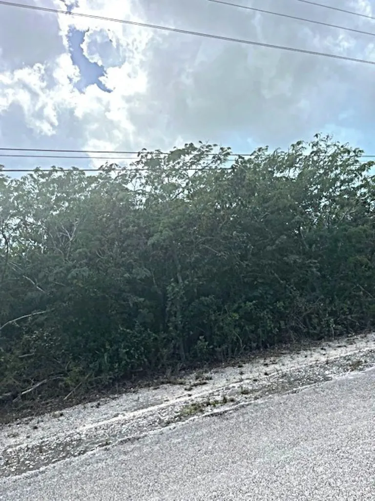 Queen's Highway, Miley Long Island BS