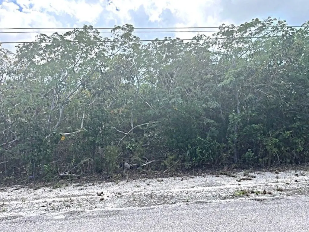 Queen's Highway, Miley Long Island BS