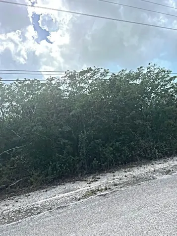 Queen's Highway, Miley Long Island BS
