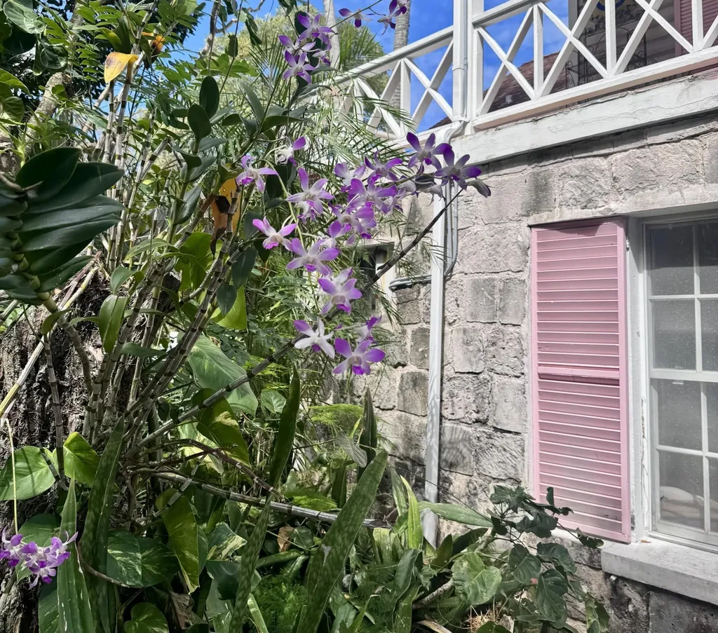 Bernard Road New Providence Paradise Island BS