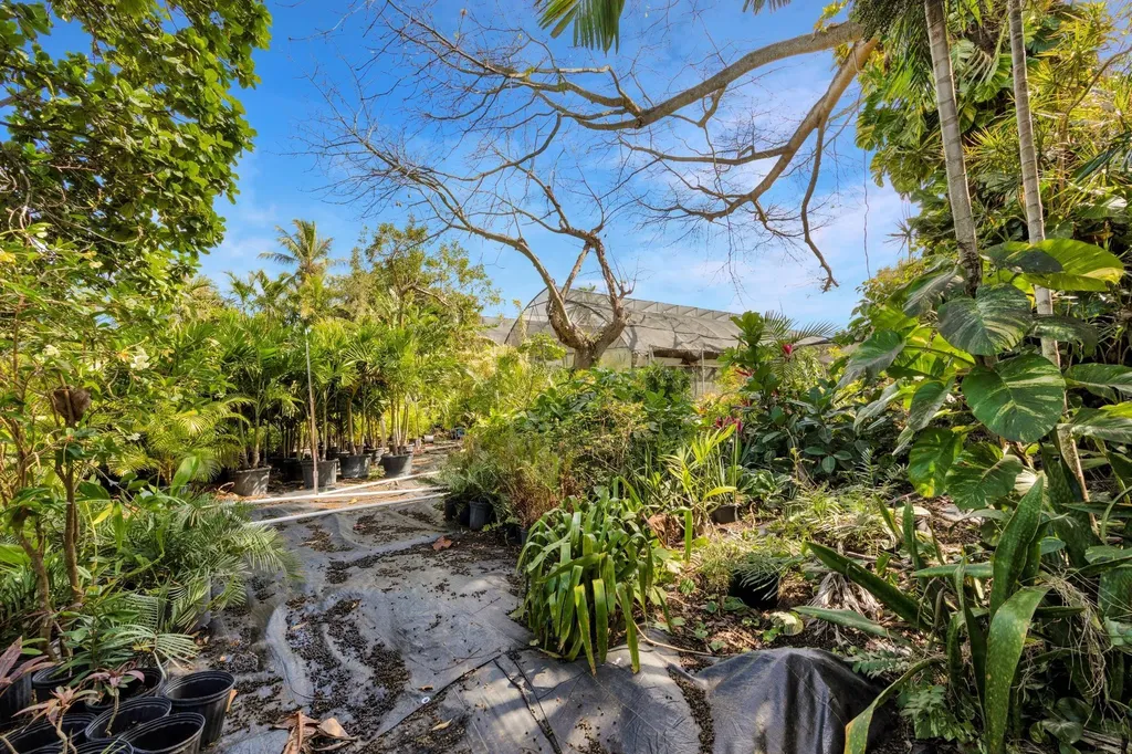 Bernard Road New Providence Paradise Island BS