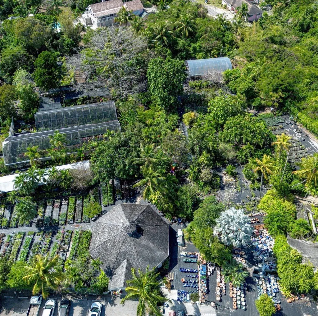 Bernard Road New Providence Paradise Island BS