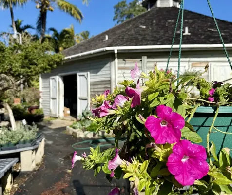 Bernard Road New Providence Paradise Island BS