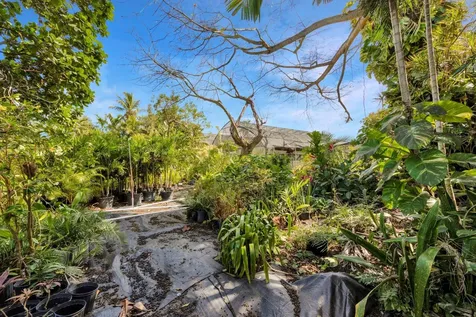 Bernard Road New Providence Paradise Island BS