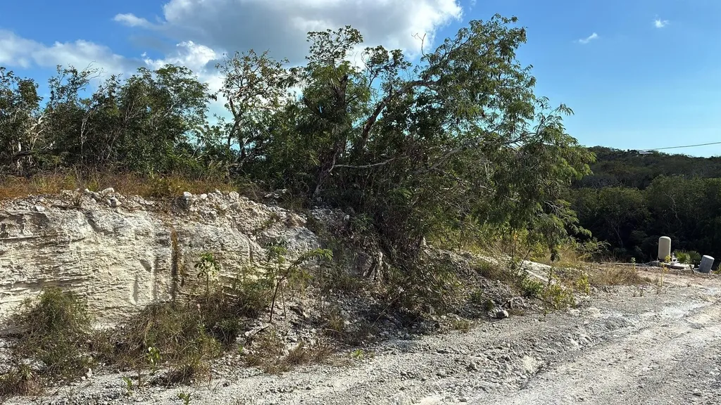 Lot 17136, Frangipani Road Exuma BS