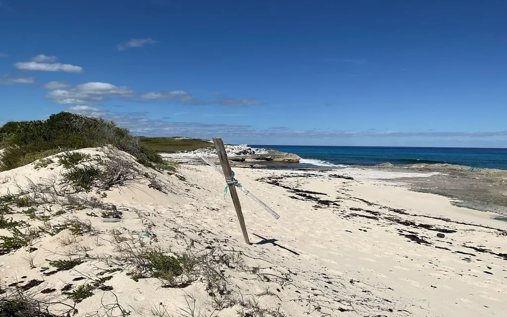 Millers Beachfront Acres Long Island BS