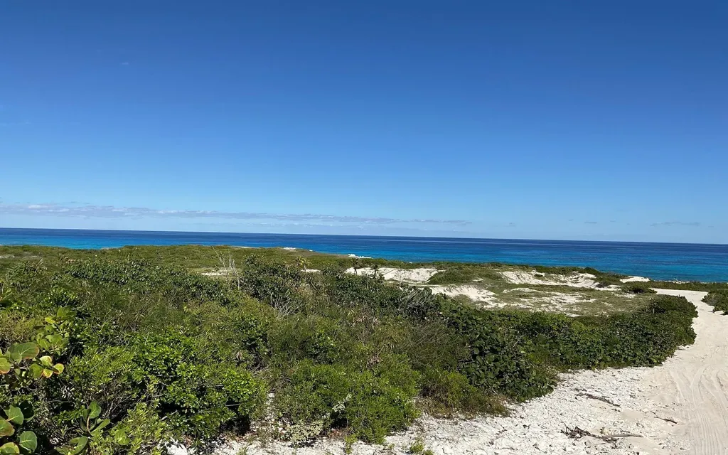 Millers Beachfront Acres Long Island BS