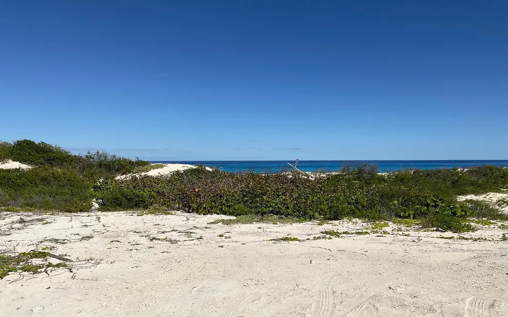Millers Beachfront Acres Long Island BS