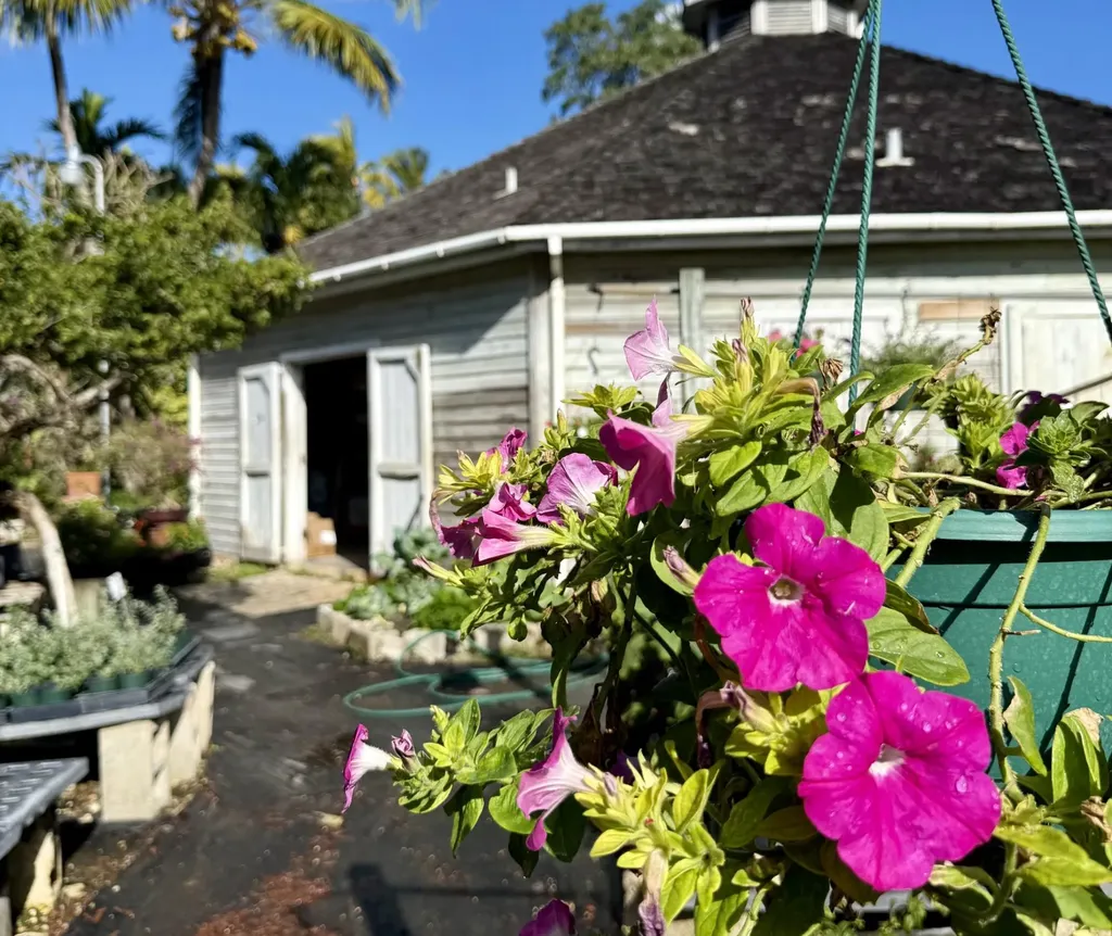 Windsor Estates New Providence Paradise Island BS