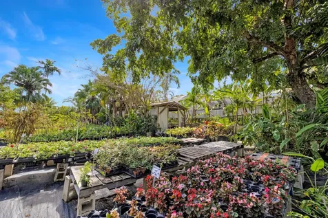 Windsor Estates New Providence Paradise Island BS