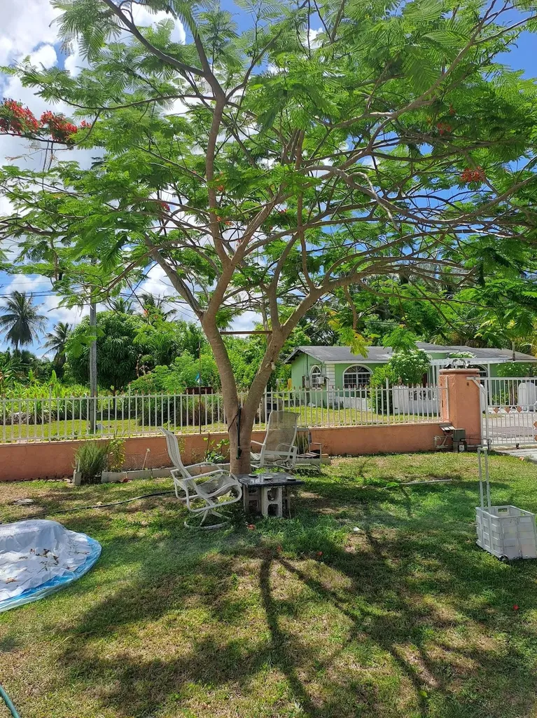 Coral Heights New Providence Paradise Island BS
