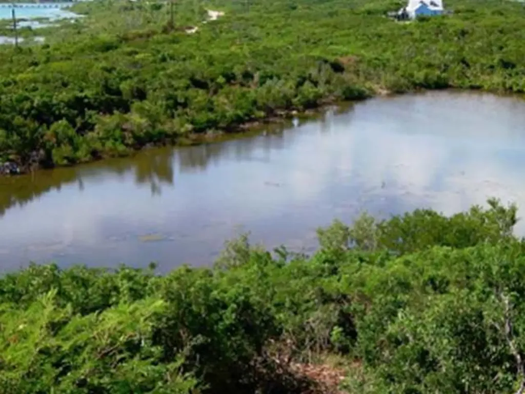 Little Exuma Exuma BS