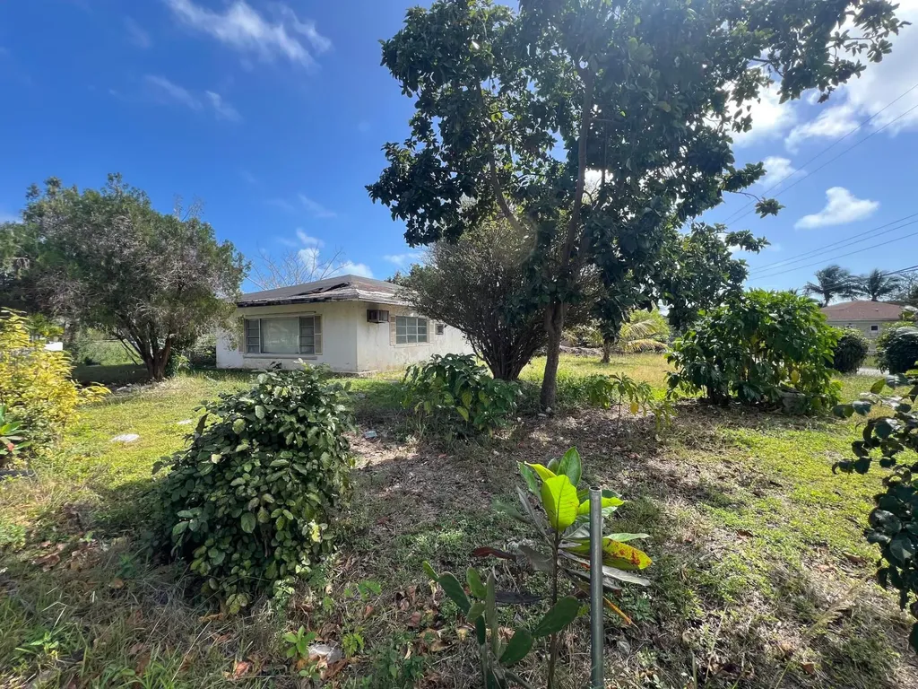 Soldier Road Commercial 1&2 New Providence Paradise Island BS