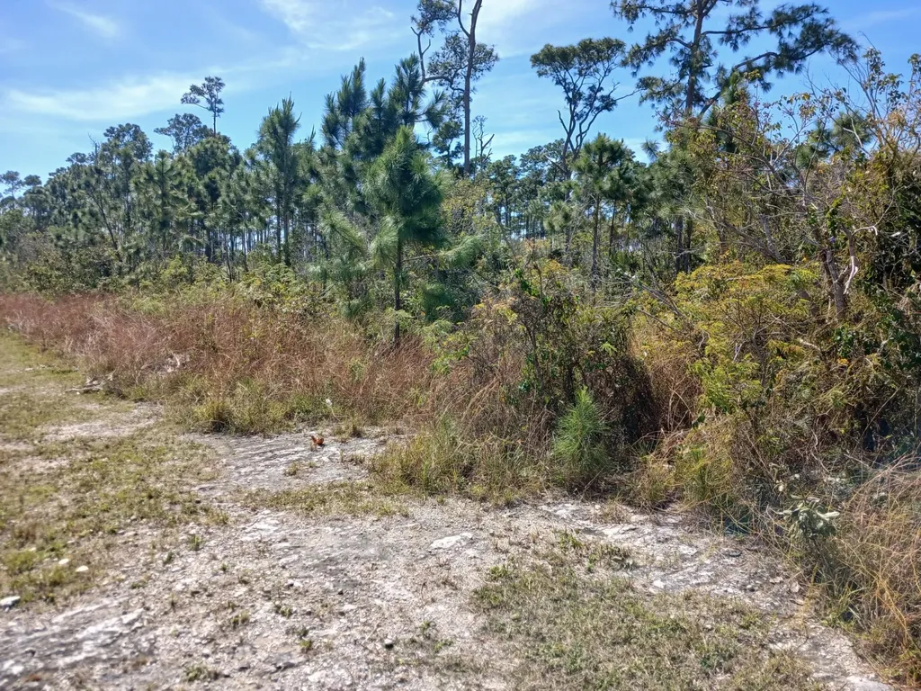 East Beach Drive Tract 10 Grand Bahama Freeport BS