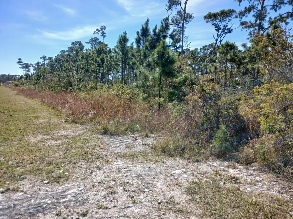 East Beach Drive Tract 10 Grand Bahama Freeport BS