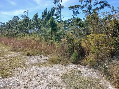 East Beach Drive Tract 10 Grand Bahama Freeport BS